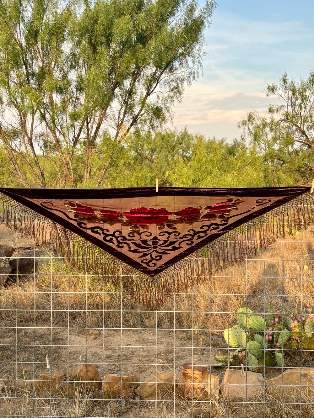 Rabella Collection Burnt Out Velvet Shawl Vintage 80’s